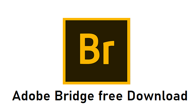 Adobe bridge free download